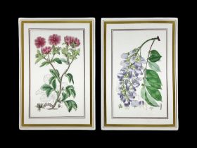 Two Royal Worcester Botanical Studies wall plaques
