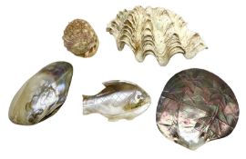 Carved oyster shell depicting tahiti