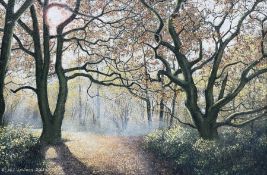 Neil Spilman (British 1951-): A Woodland Path