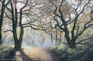 Neil Spilman (British 1951-): A Woodland Path
