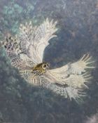 Susan Cameron (British Contemporary): Owl in Flight
