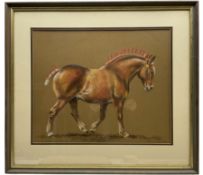 Janice Gordon (British 20th Century): 'Suffolk Punch' Show Horse