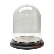 Small glass dome upon a circular wooden base