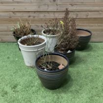 Set of six garden planter pots