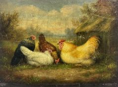 A Jackson (British 19th century): Farmhouse Chickens