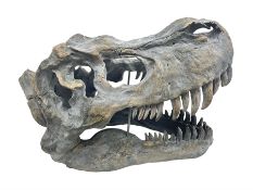 Composite model of a T-Rex dinosaur Skull