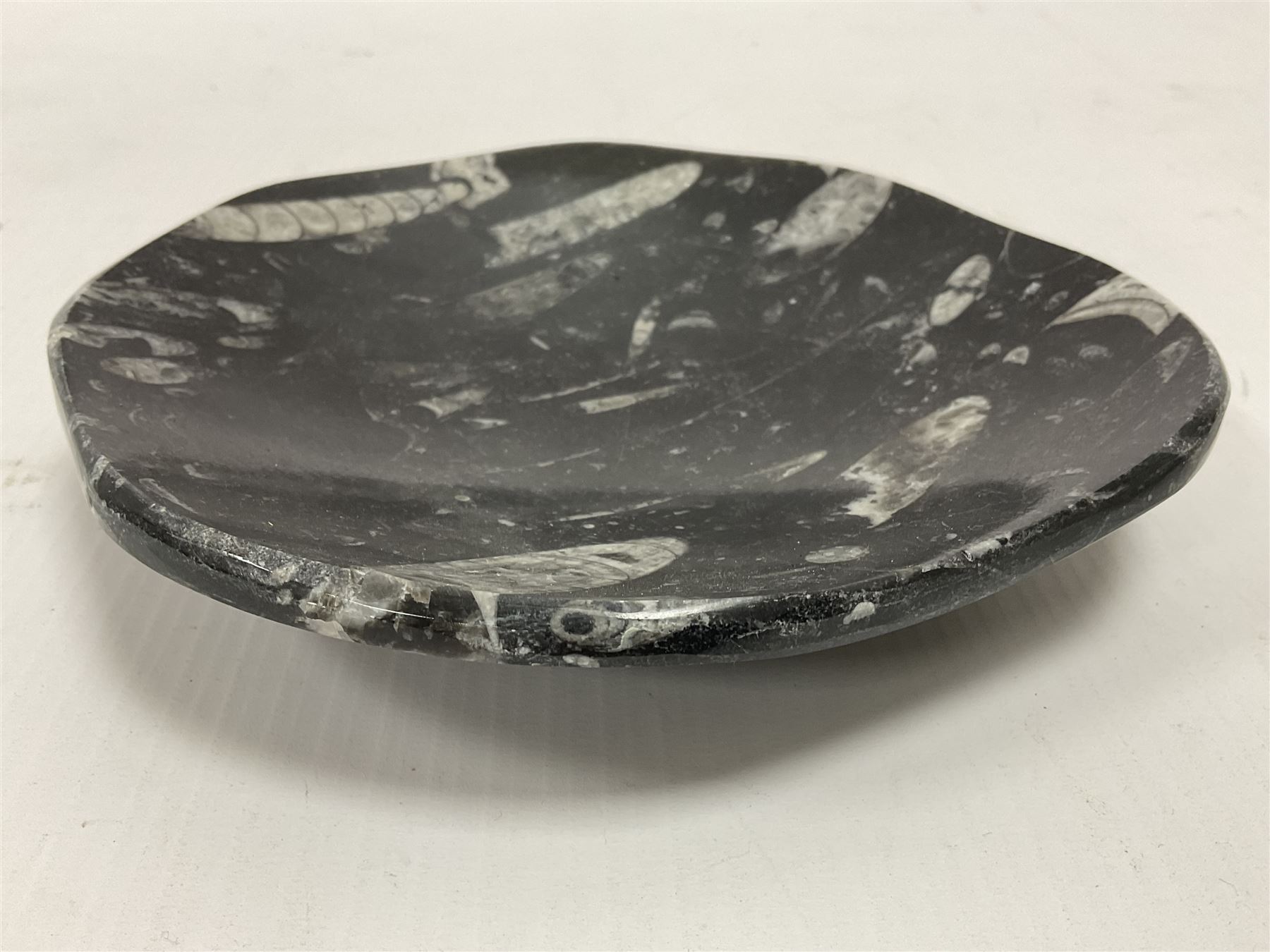 Free form dish with orthoceras and goniatite inclusions - Image 5 of 6