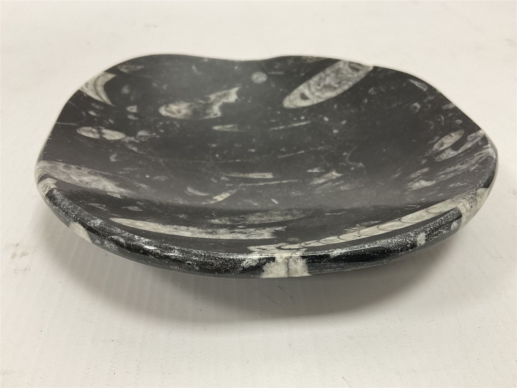 Free form dish with orthoceras and goniatite inclusions - Image 4 of 6