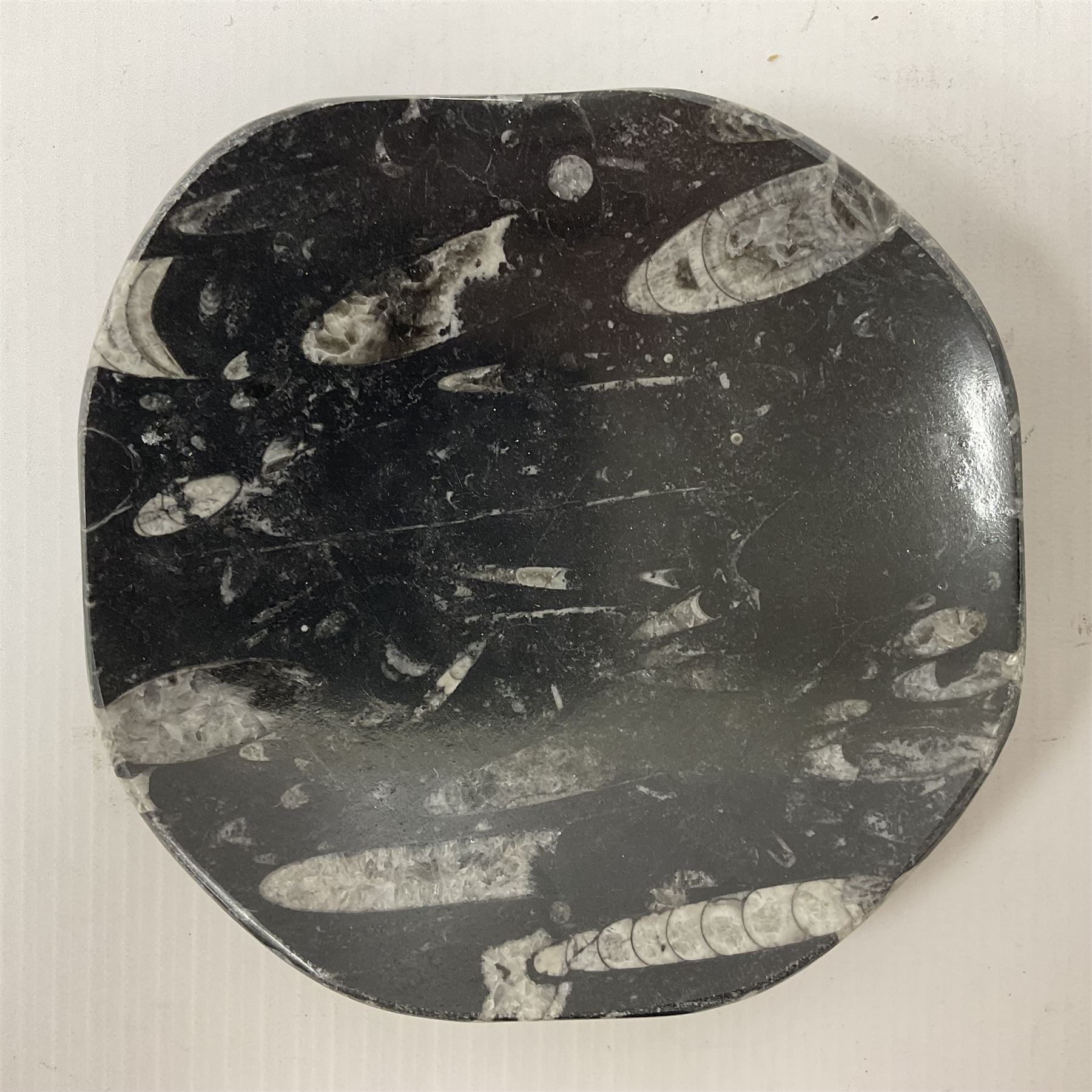 Free form dish with orthoceras and goniatite inclusions - Image 2 of 6