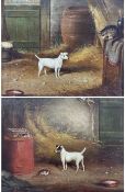 William Eddowes Turner (British 1836-1904): 'Lille' and 'Buffett' - Champion Fox Terriers