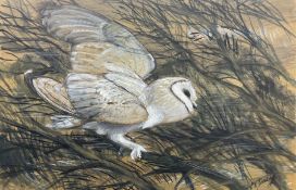 Charles Frederick Tunnicliffe (British 1901-1979): Barn Owl