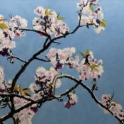Dag Hagenaes Kjelldahl (Norwegian/Whitby Contemporary): Cherry Blossom