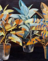 W L Gillborn (New Zealand 20th century): 'Malaysian Croton Plants - Abstract Study'
