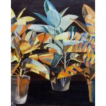 W L Gillborn (New Zealand 20th century): 'Malaysian Croton Plants - Abstract Study'