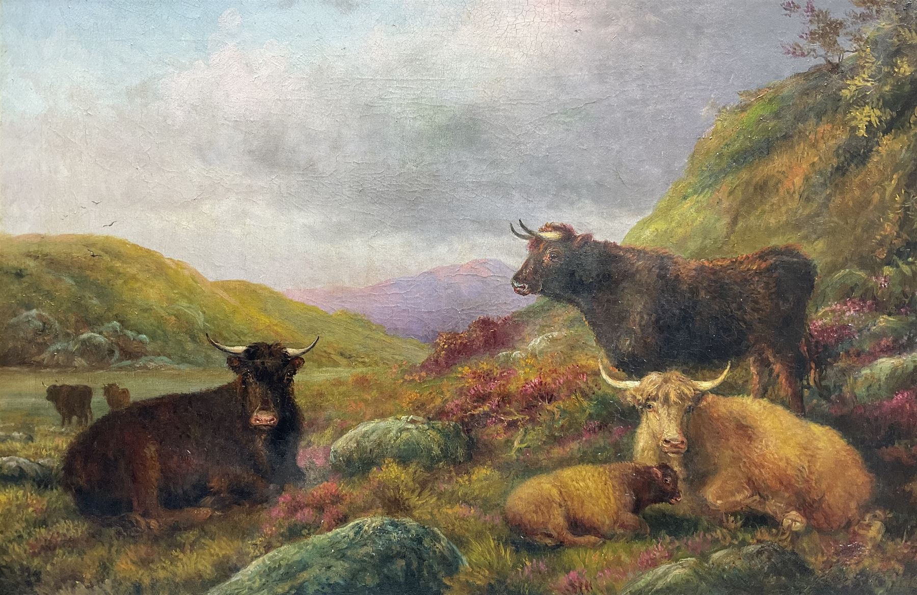 English School (Early 20th century): Highland Cattle