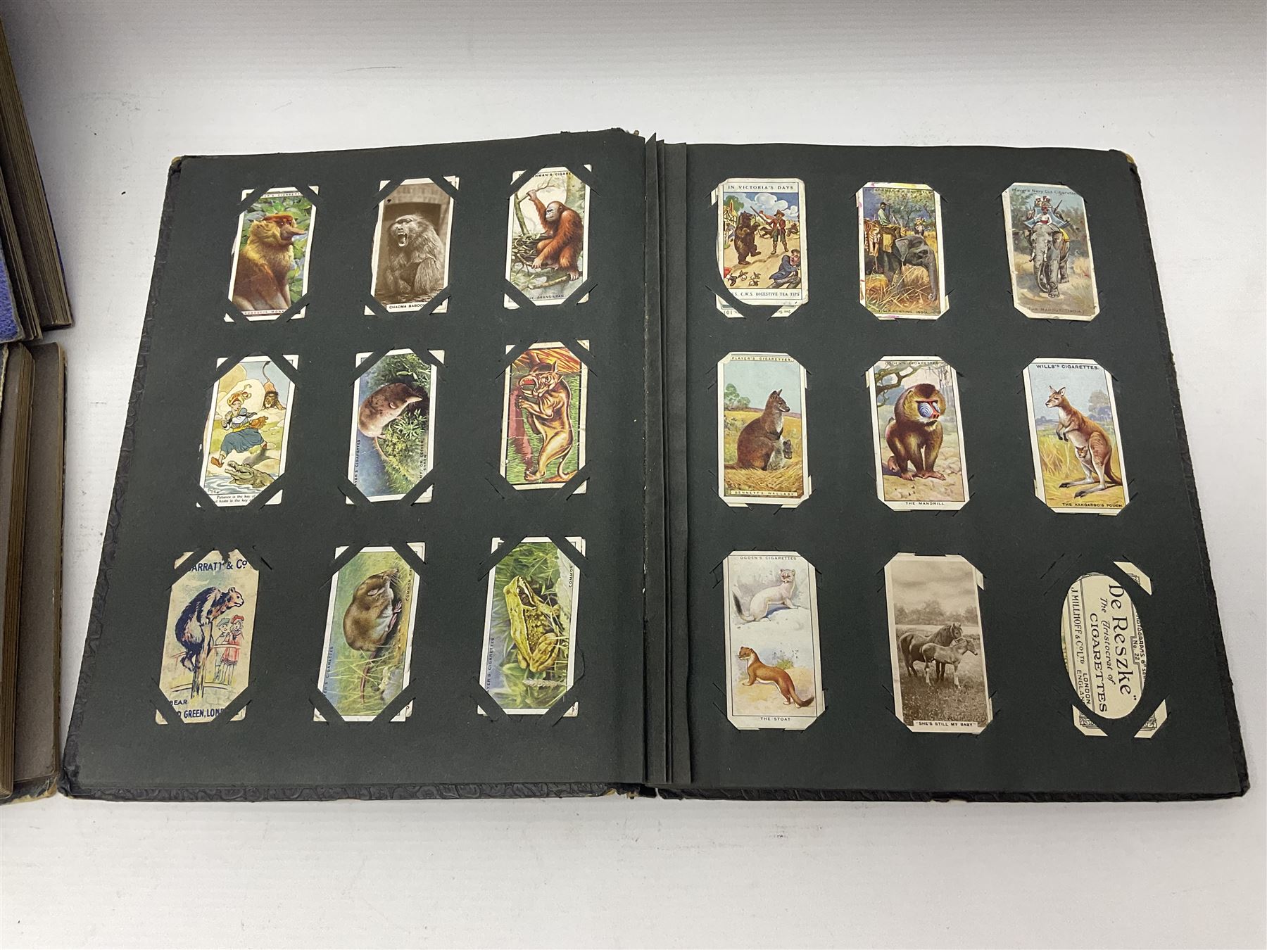 Four albums of cigarette cards - Image 11 of 18