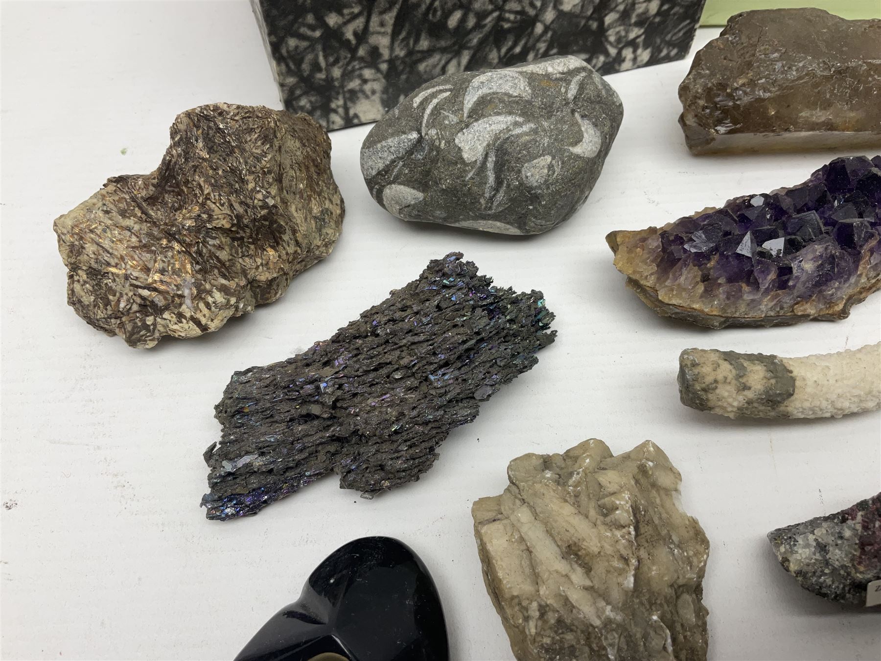 Collection of minerals and coral - Image 6 of 13