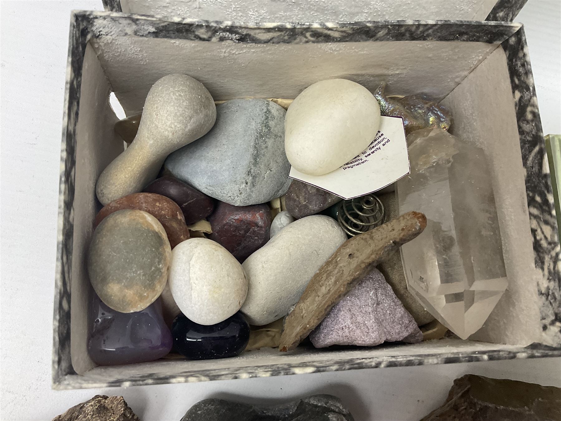 Collection of minerals and coral - Image 13 of 13