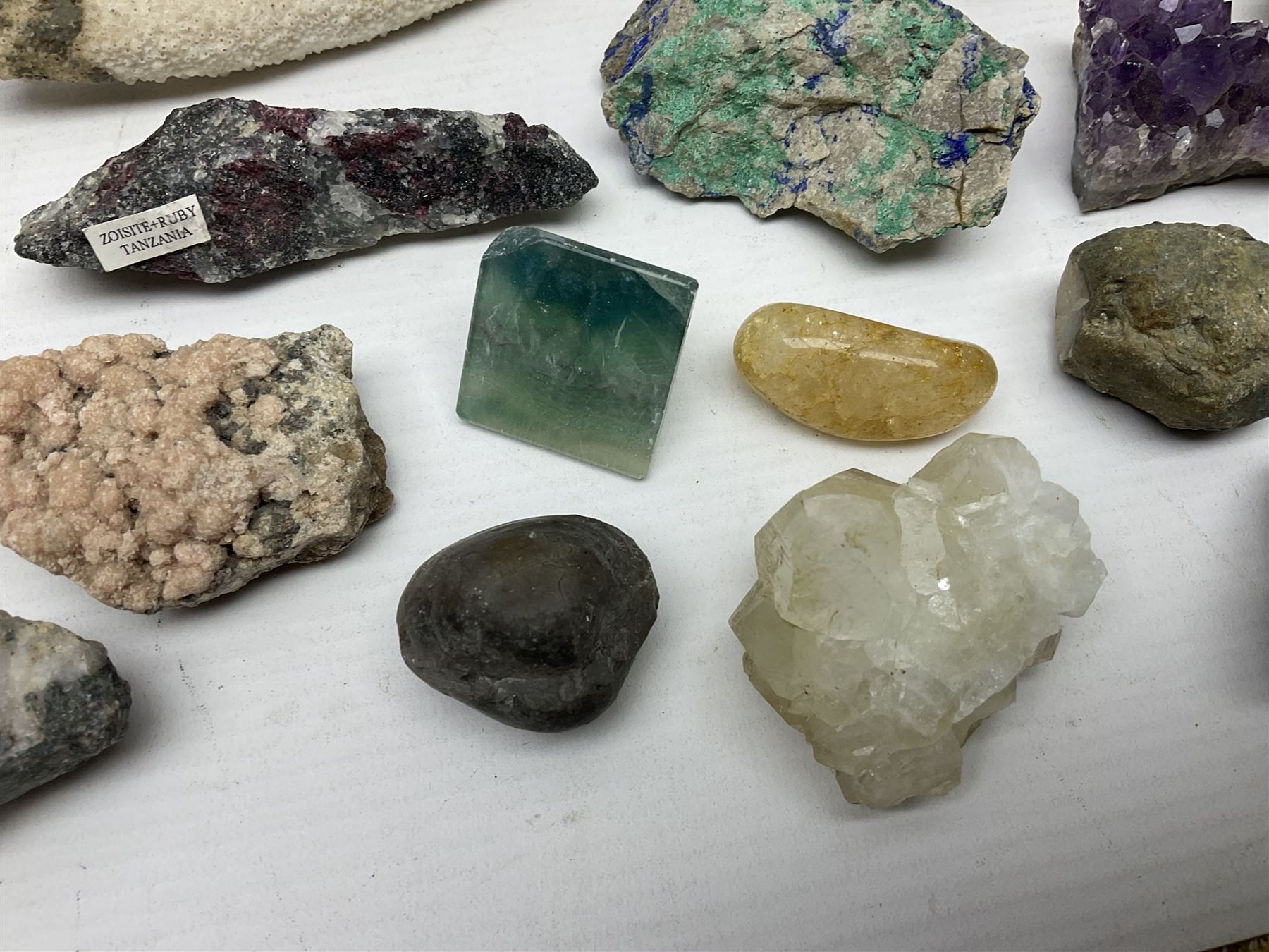 Collection of minerals and coral - Image 4 of 13