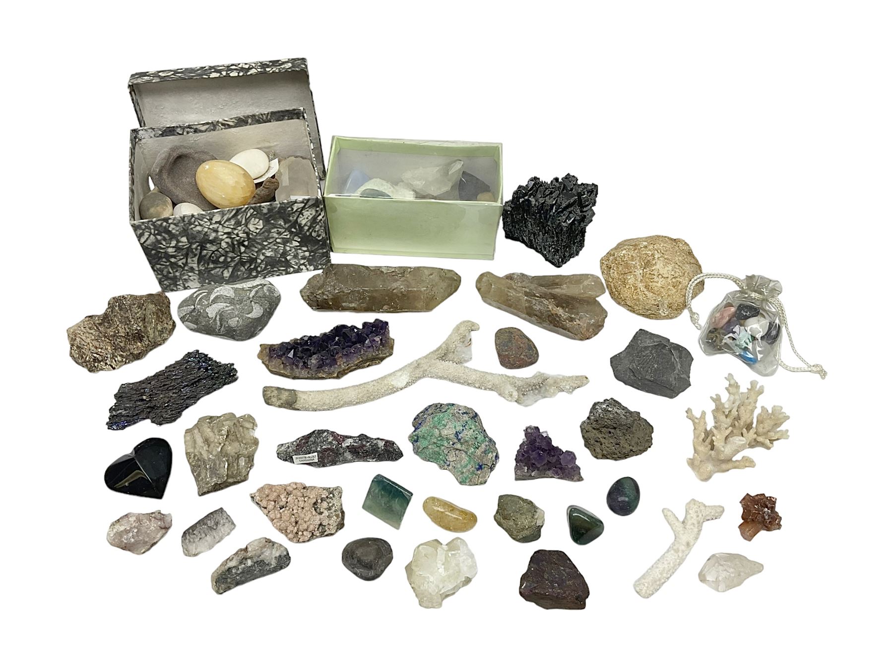 Collection of minerals and coral