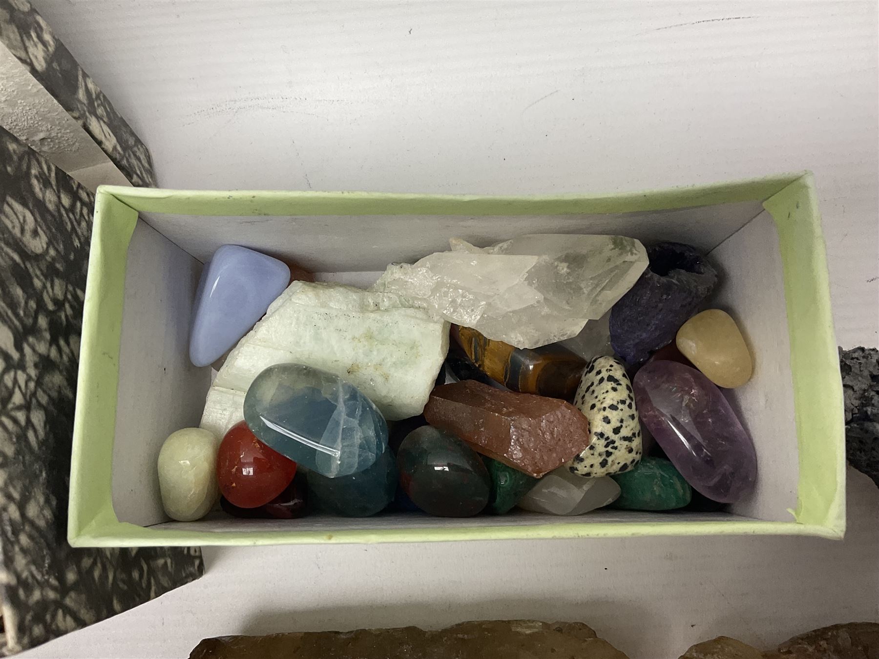 Collection of minerals and coral - Image 11 of 13