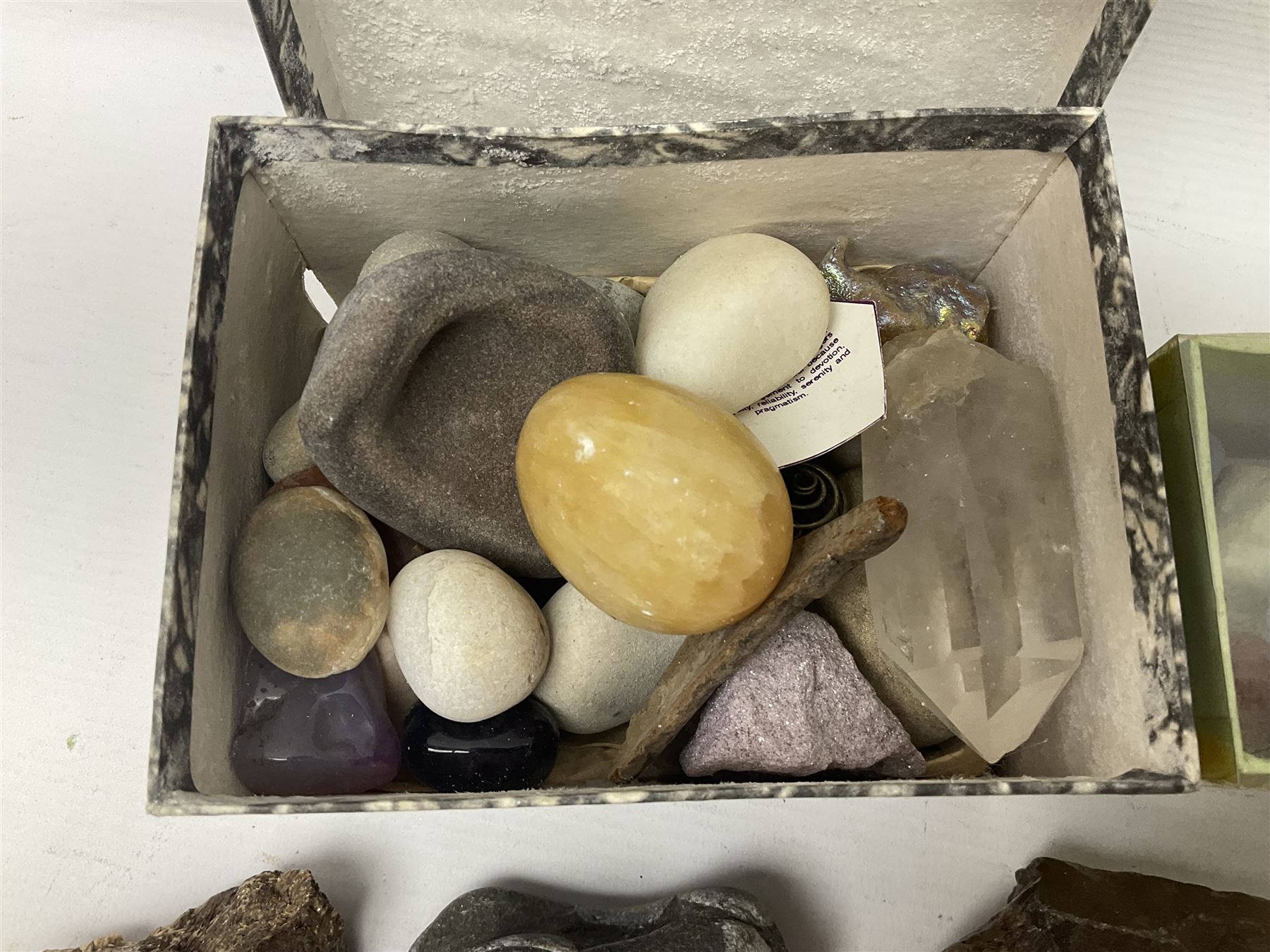 Collection of minerals and coral - Image 12 of 13