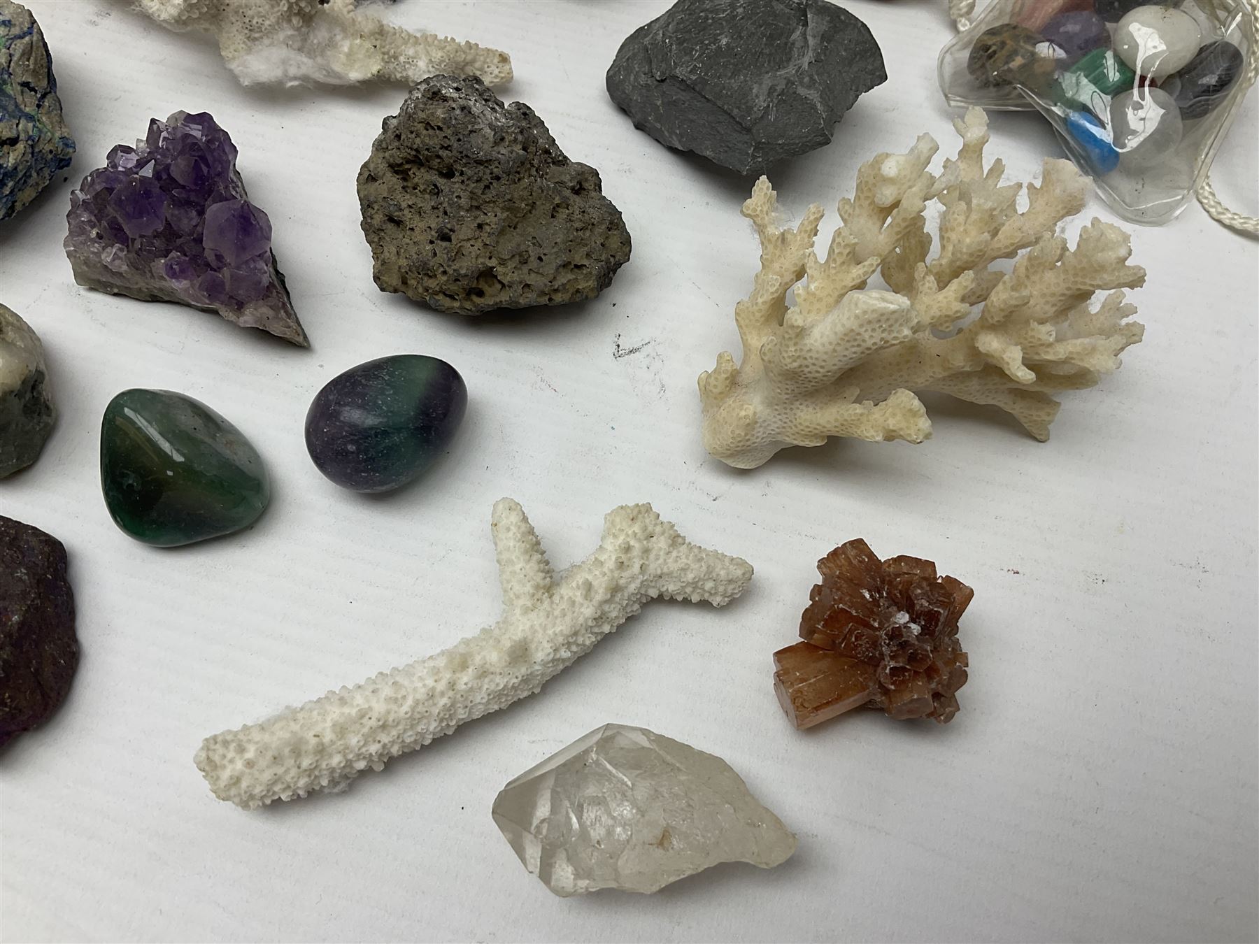 Collection of minerals and coral - Image 2 of 13