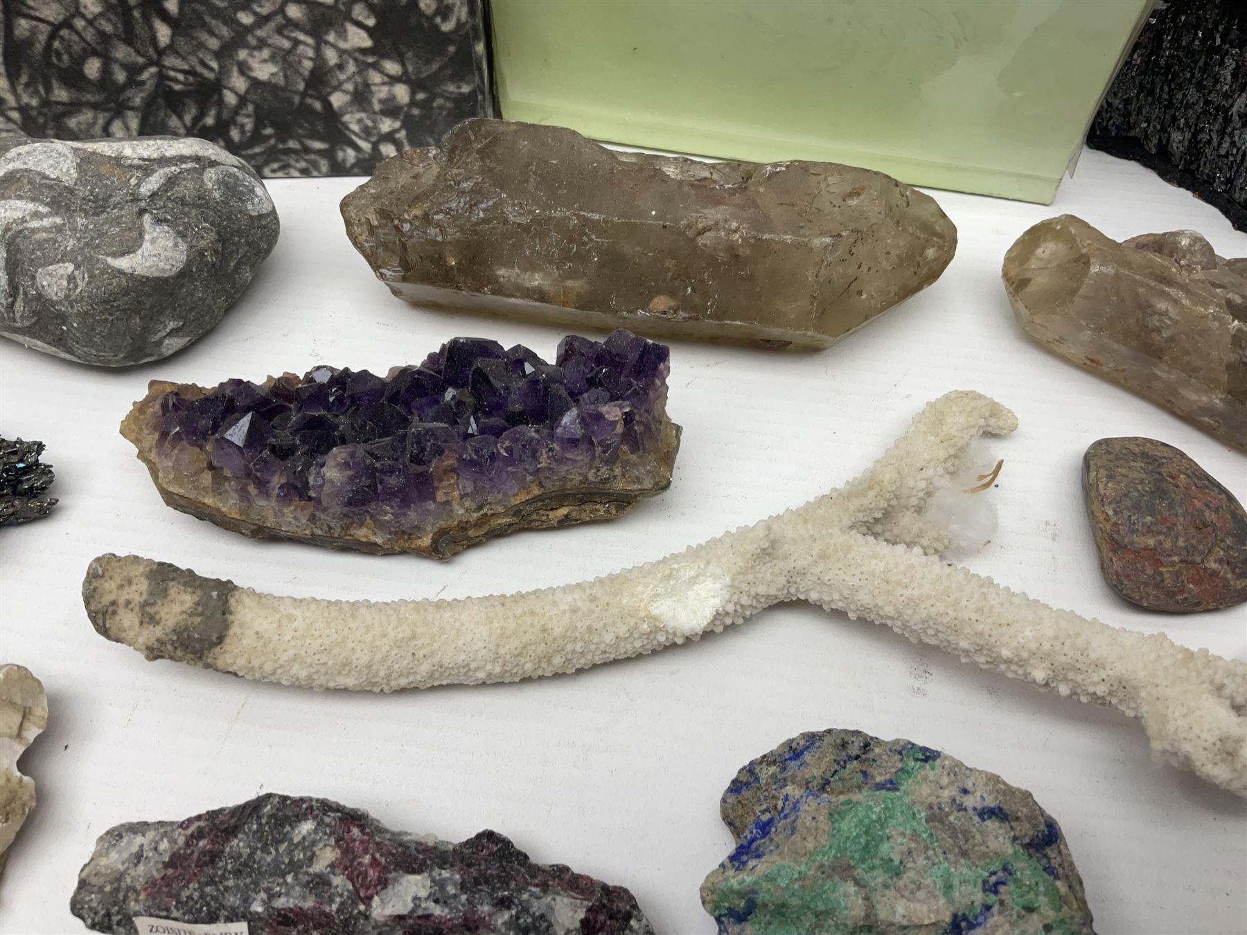 Collection of minerals and coral - Image 7 of 13