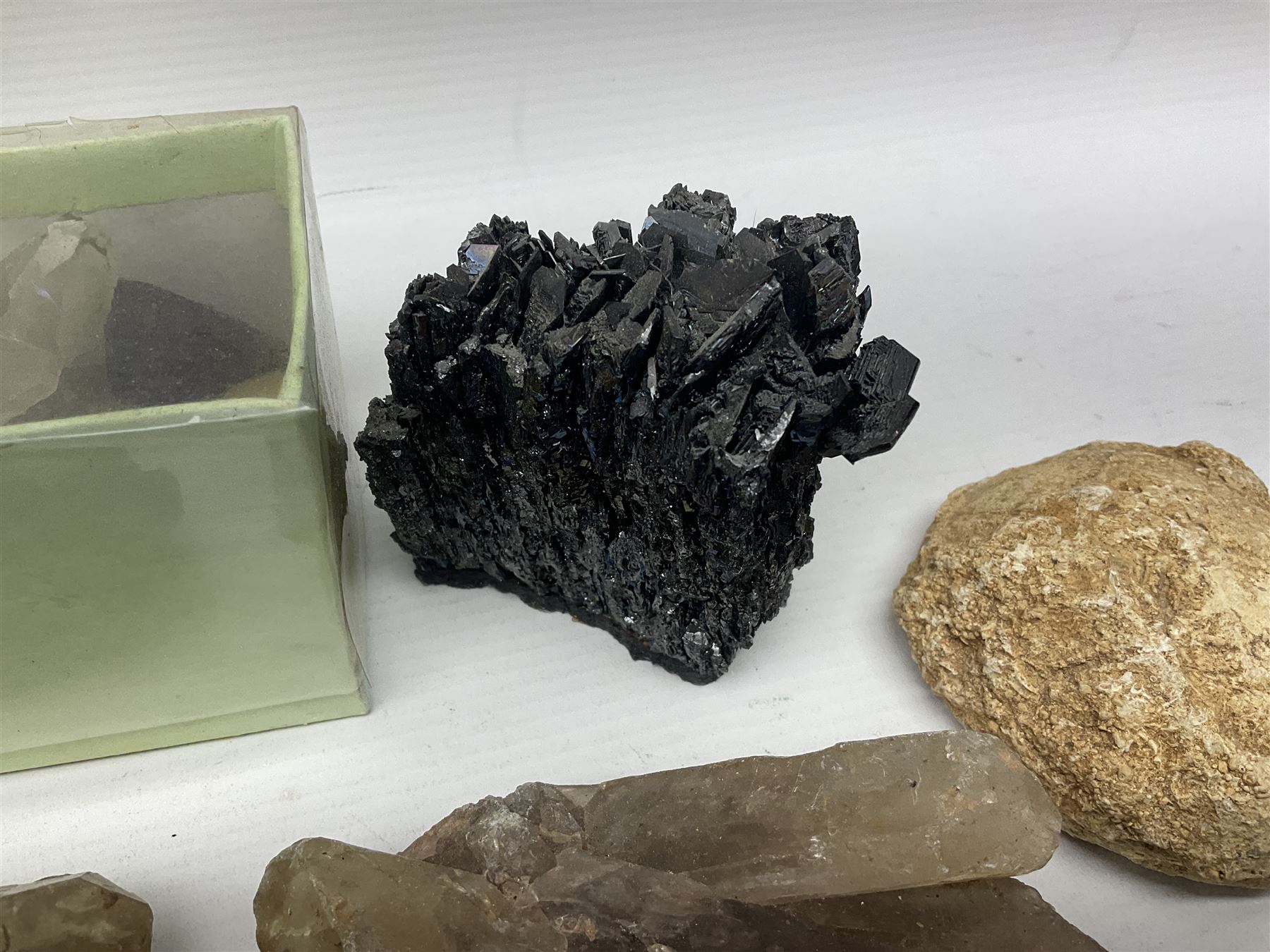 Collection of minerals and coral - Image 10 of 13