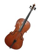 1/2 size Stentor student cello