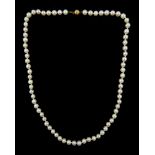 Single strand cultured white /cream pearl necklace