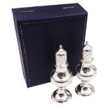 Modern silver two piece cruet set