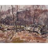 Fred Lawson (British 1888-1968): Woodland in Autumn