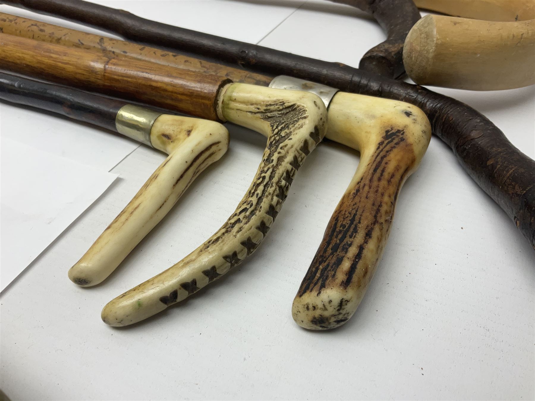 Collection of walking sticks including silver collared example and horn handles - Image 8 of 12