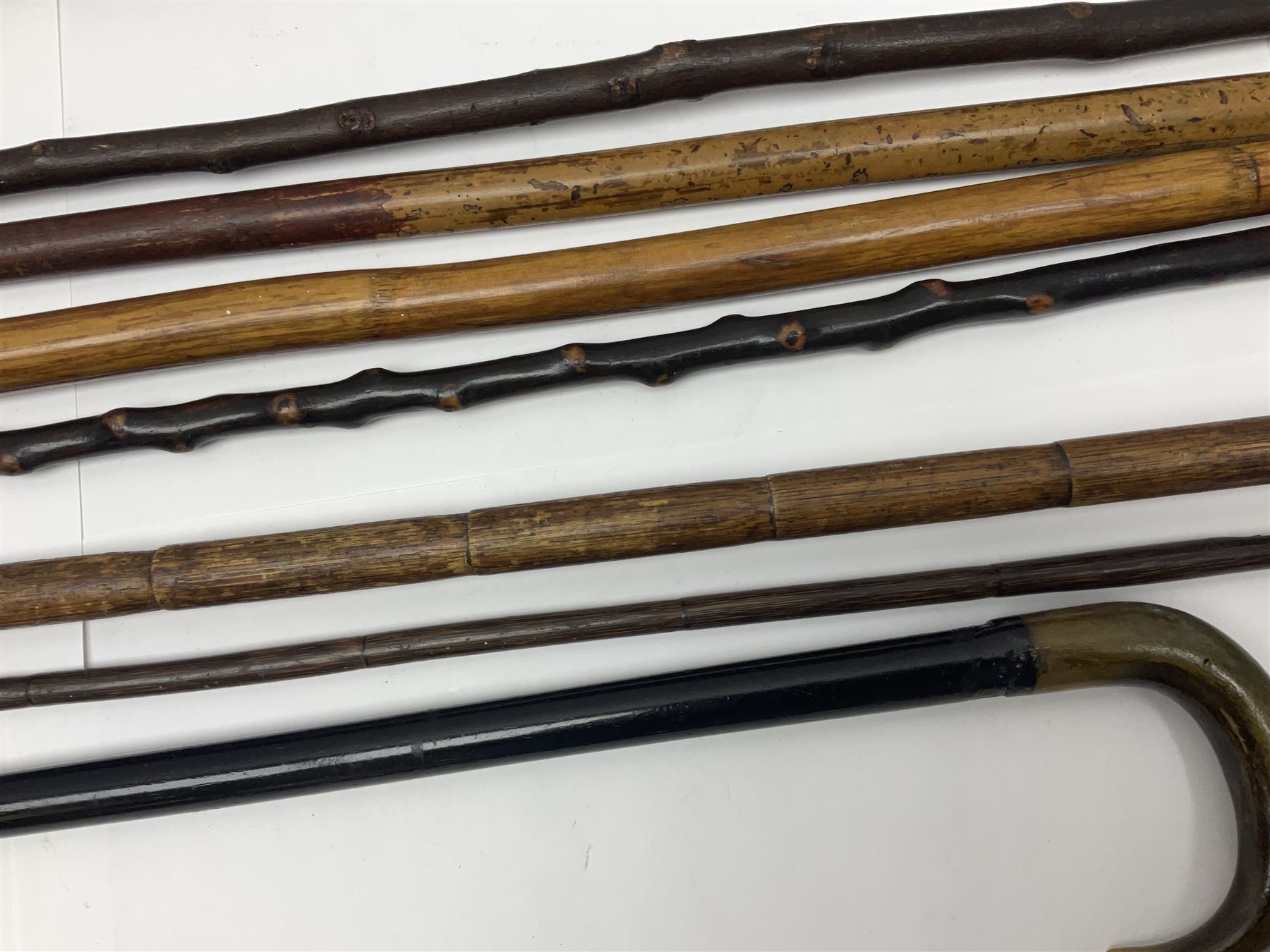 Collection of walking sticks including silver collared example and horn handles - Image 3 of 12