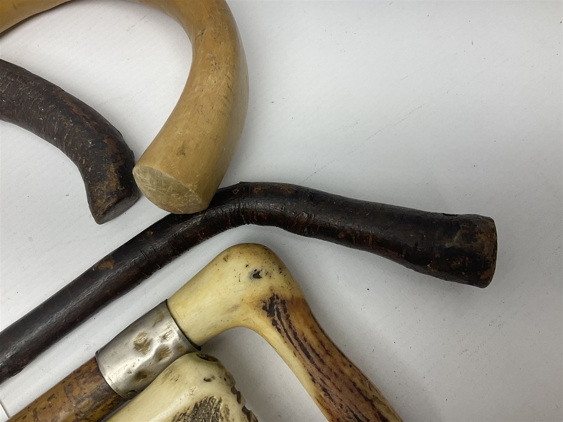 Collection of walking sticks including silver collared example and horn handles - Image 9 of 12