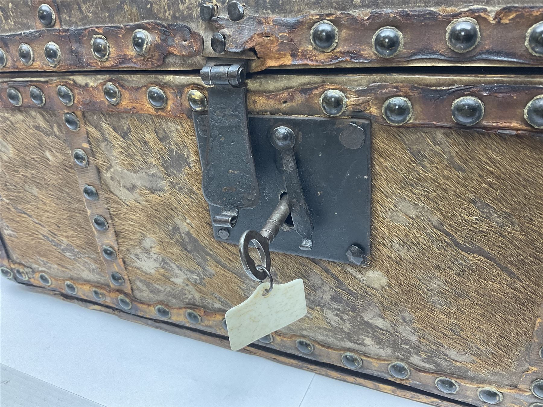 19th century pony skin dome top trunk with metal studded detail - Image 2 of 13