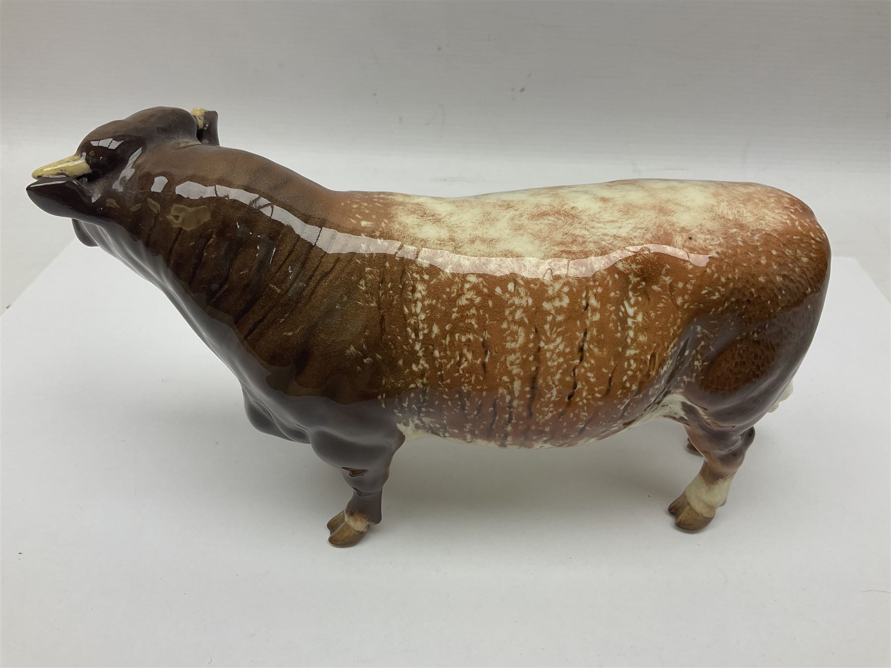 Beswick Dairy Shorthorn Bull Ch. 'Gwersylt Lord Oxford 74th' - Image 4 of 7