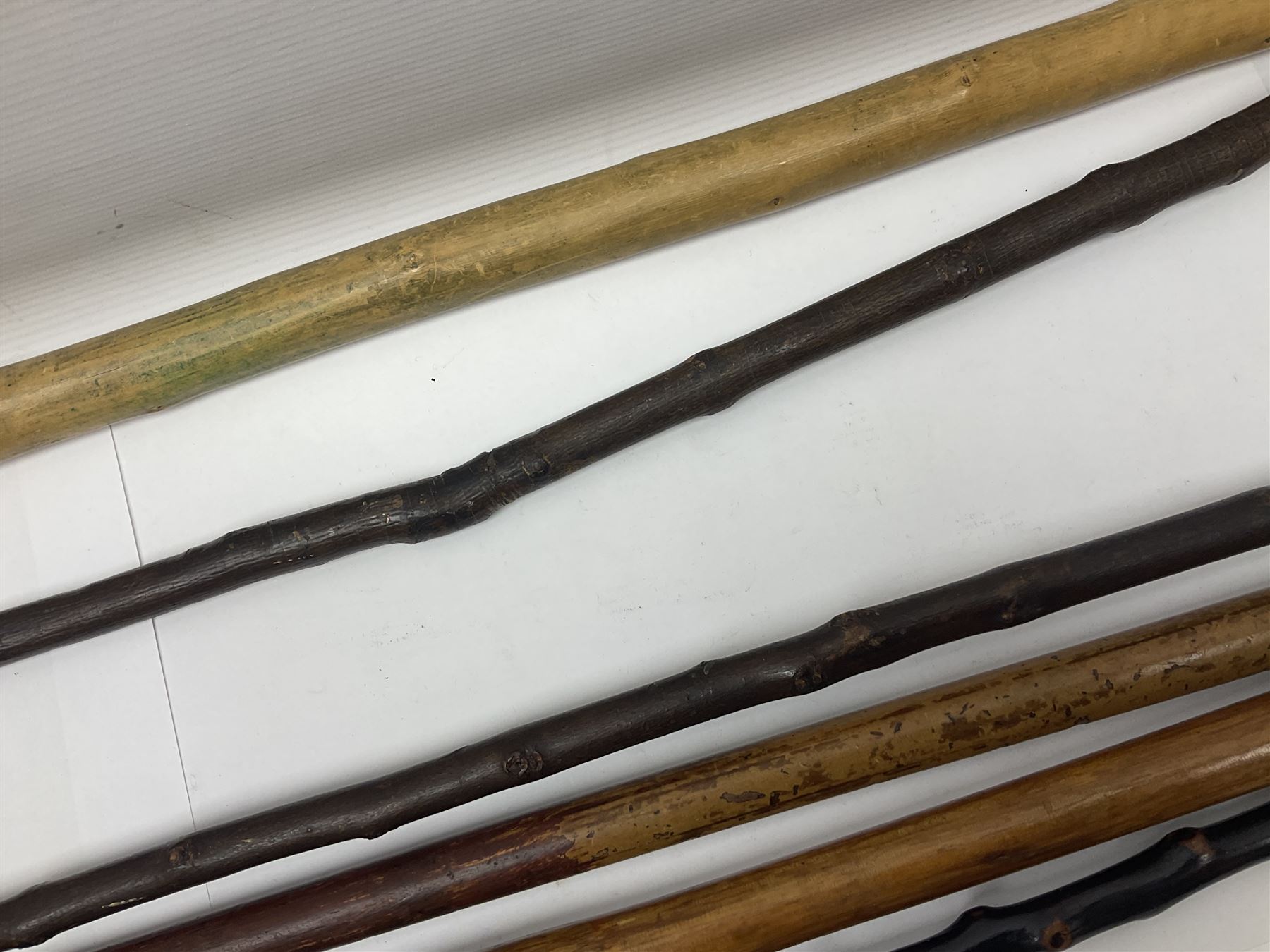 Collection of walking sticks including silver collared example and horn handles - Image 11 of 12