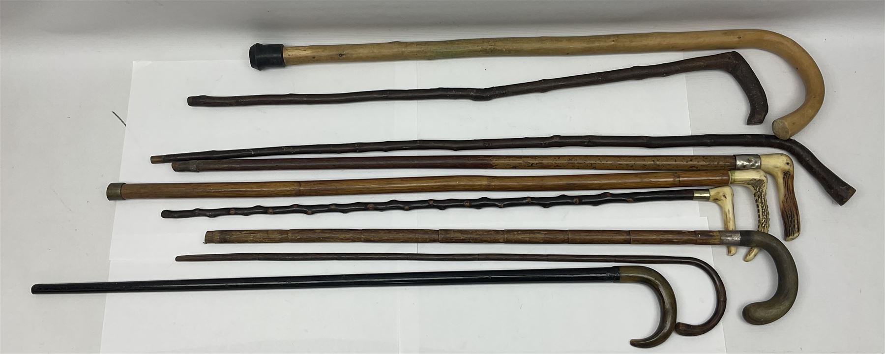 Collection of walking sticks including silver collared example and horn handles - Image 4 of 12