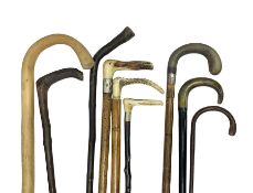 Collection of walking sticks including silver collared example and horn handles