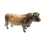 Beswick Dairy Shorthorn Bull Ch. 'Gwersylt Lord Oxford 74th'