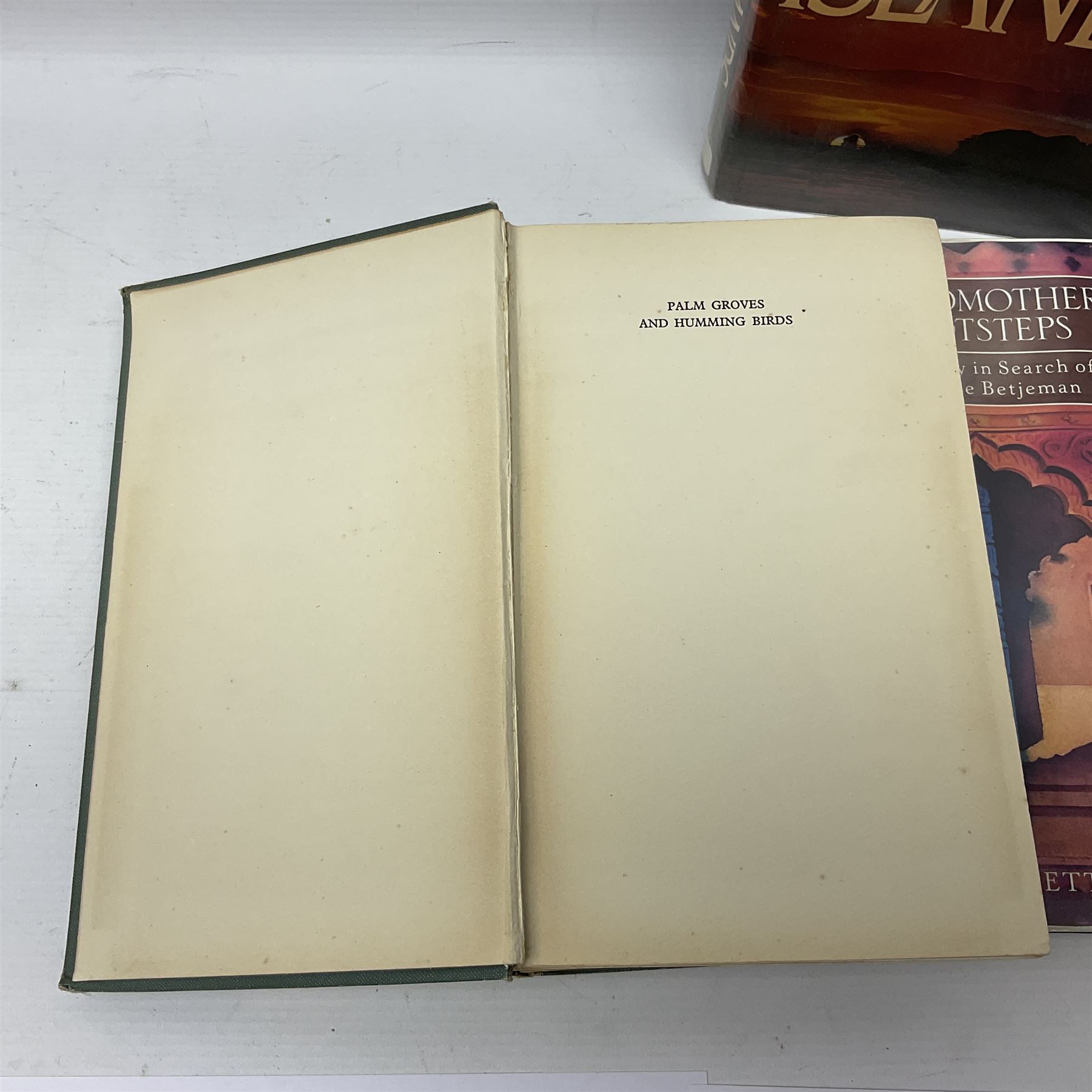 Collection of travel books and similar - Image 13 of 13