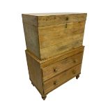 19th century camphor wood and pine chest on chest