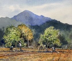 John Freeman (British 1942-): 'Picking Apricots - Mallorca'