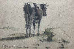 Eugene Verboeckhoven (Belgian 1798-1881): Portrait of a Cow