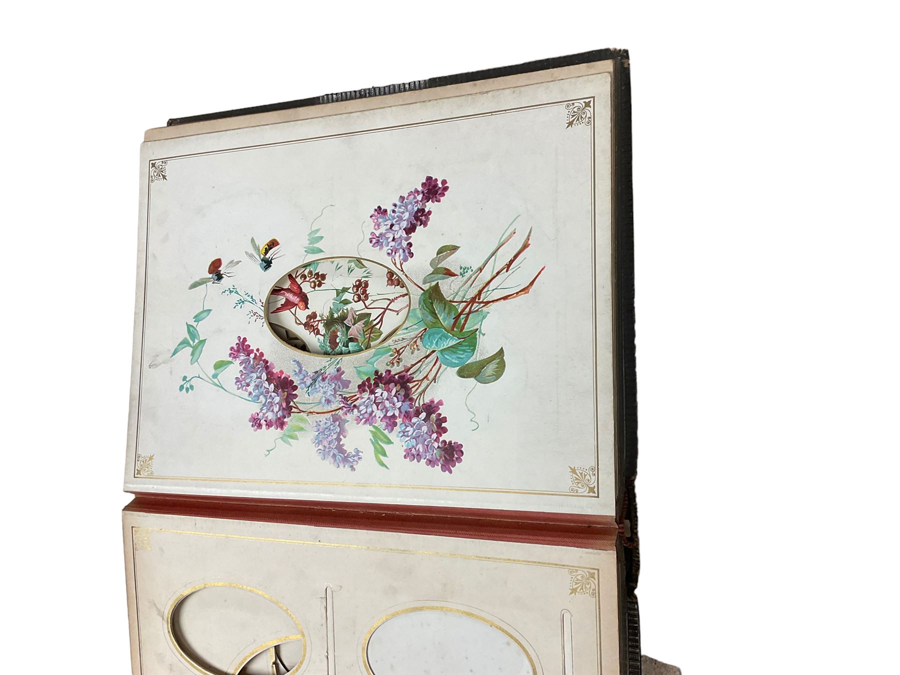 19th Century Victorian leather bound embossed photograph album having hand painted pages of birds an - Bild 4 aus 4
