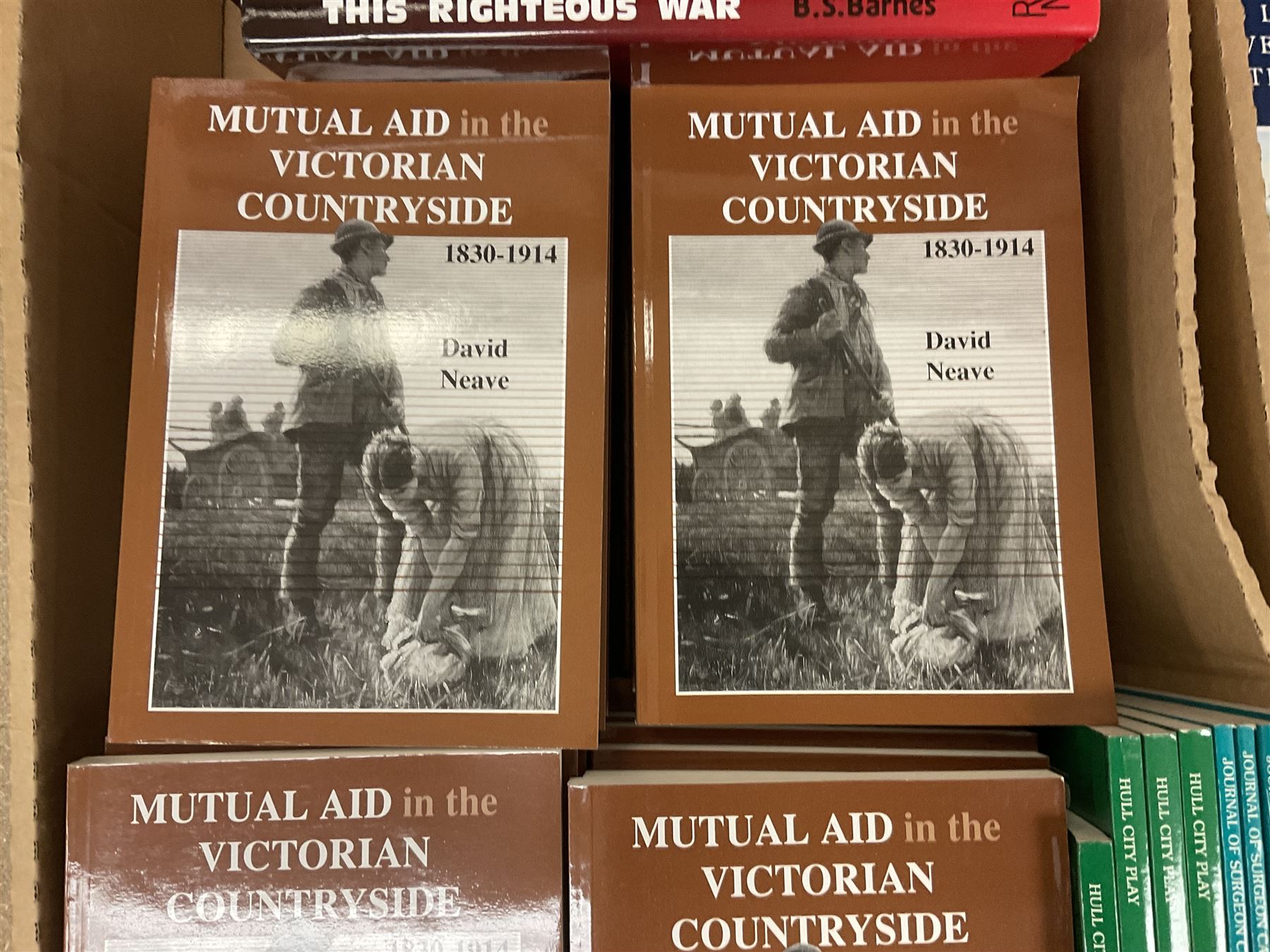 Books - Thirty seven copies of Mutual Air in the Victorian Countryside 1830-1914 by David Neave - Bild 3 aus 8