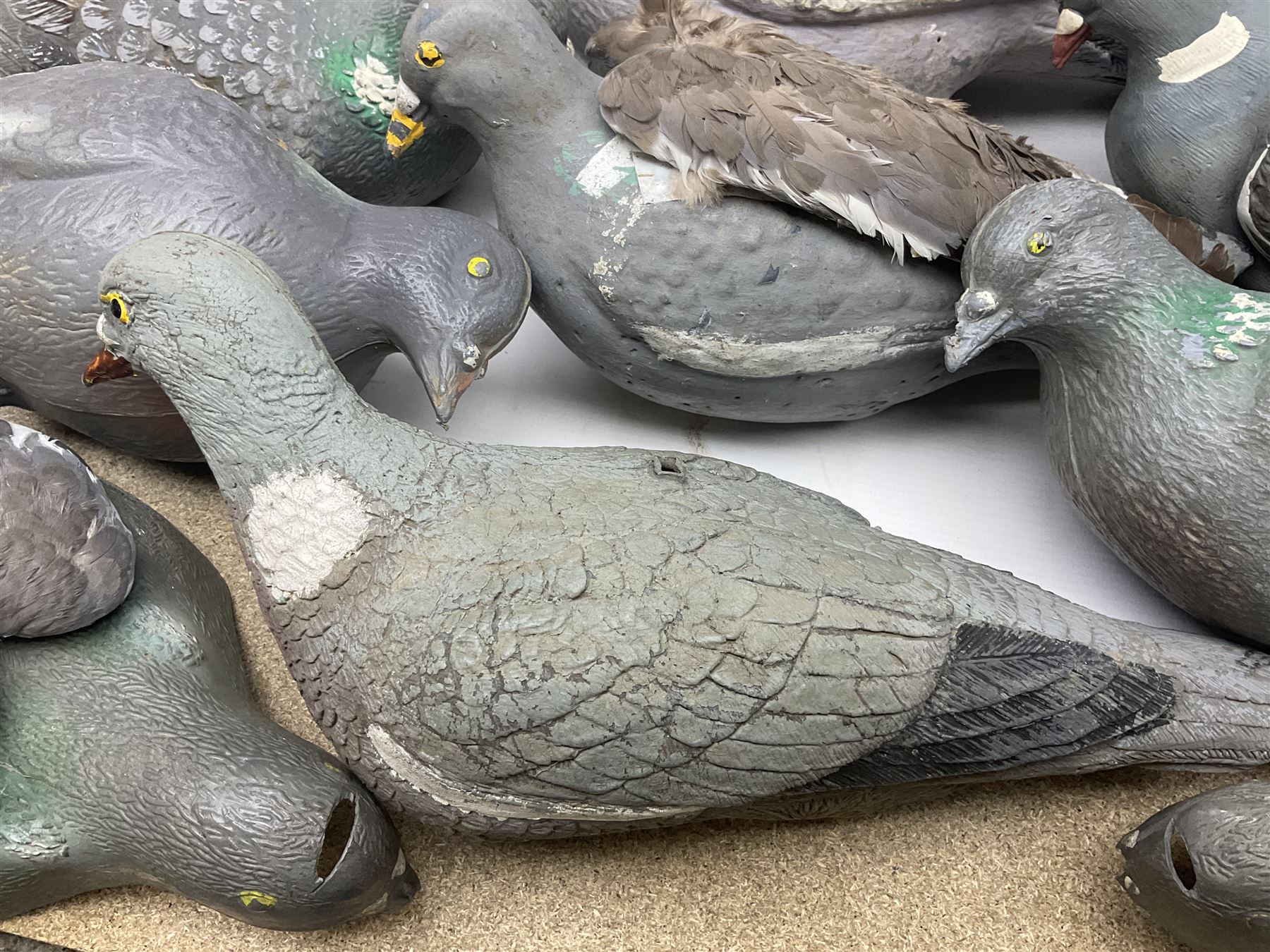 Fourteen Wood Pigeon decoys - Image 6 of 12