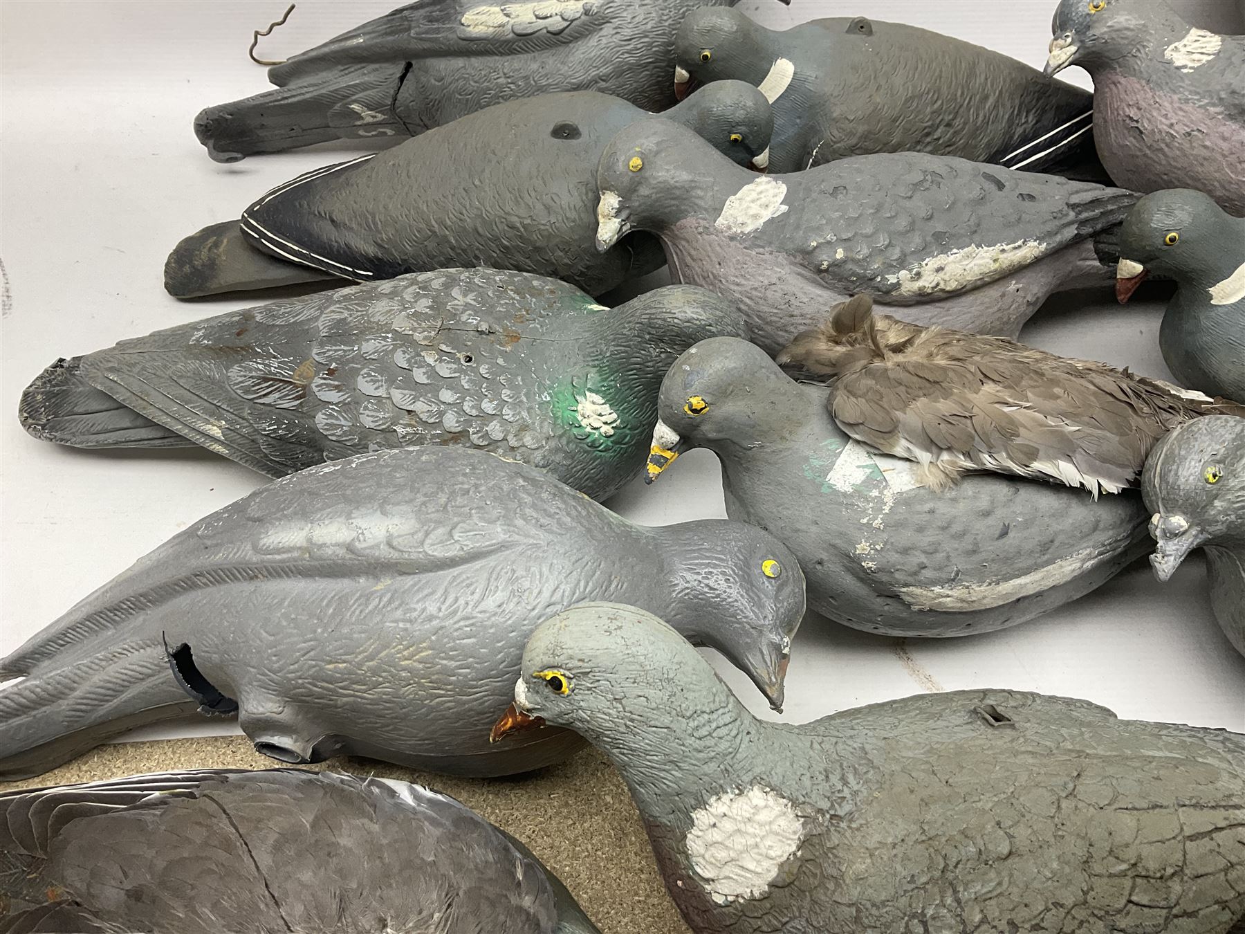 Fourteen Wood Pigeon decoys - Image 5 of 12